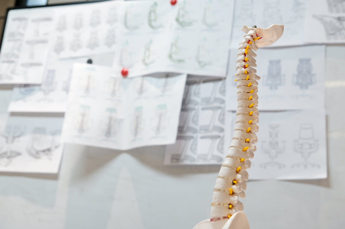 LiberNovo Omni: What Is a Dynamic Ergonomic Chair and Why You Need One.