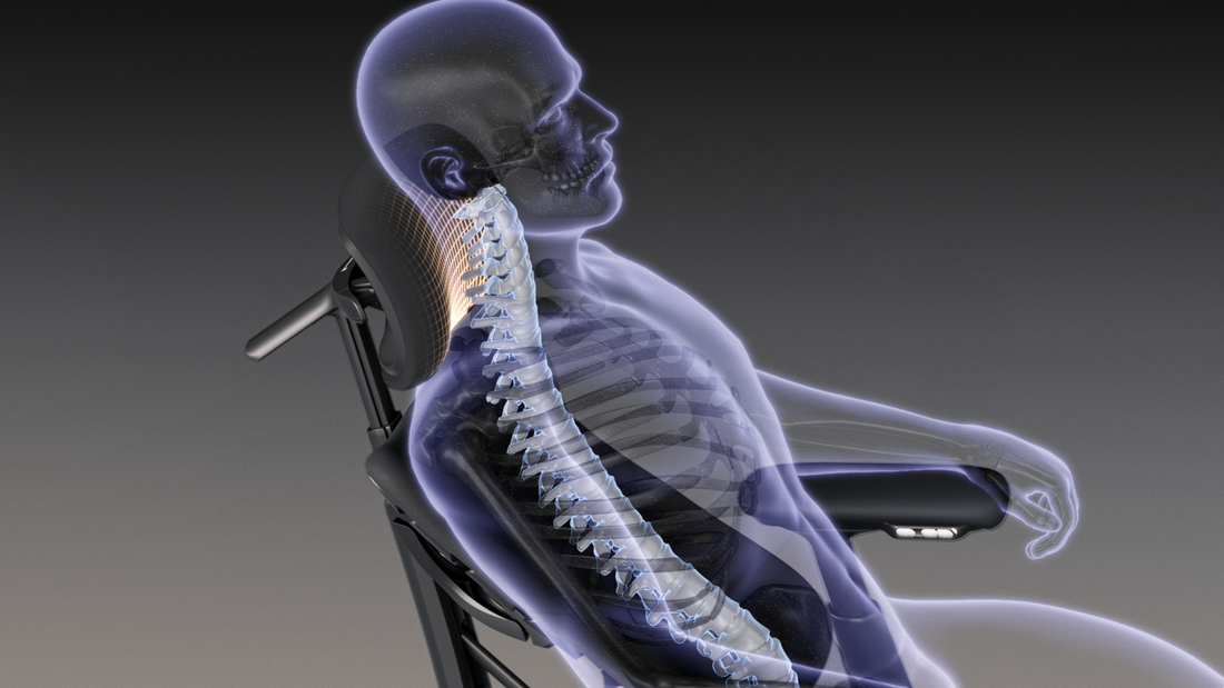 Neck & Shoulder Pain from Sitting? Dynamic Support Can Help