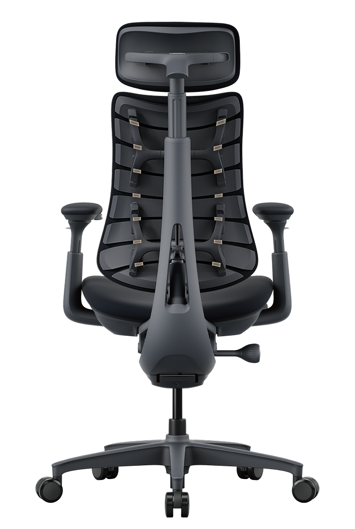 LiberNovo Omni – Best Ergonomic Chair for Back Pain & Long Hours LiberNovo Omni – Best Ergonomic Chair for Back Pain & Long Hours