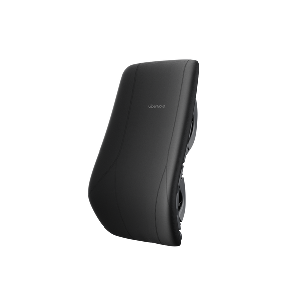 Maxis Manual - Backrest Assembly
