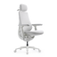 LiberNovo Maxis Dynamic Ergonomic Chair
