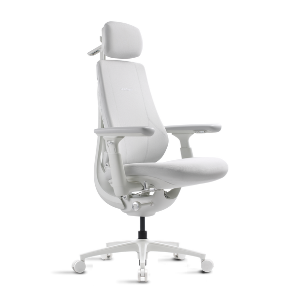 LiberNovo Maxis Dynamic Ergonomic Chair
