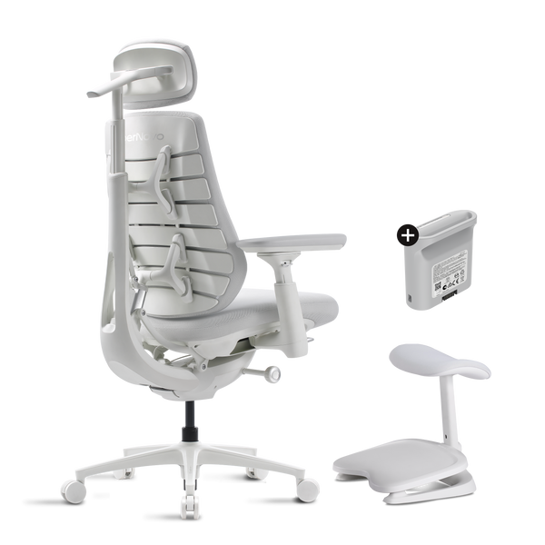 LiberNovo Maxis Dynamic Ergonomic Chair
