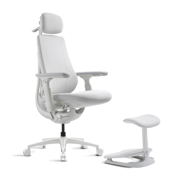 LiberNovo Maxis Dynamic Ergonomic Chair
