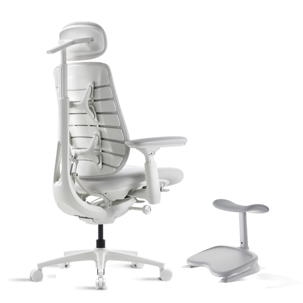 LiberNovo Maxis Dynamic Ergonomic Chair
