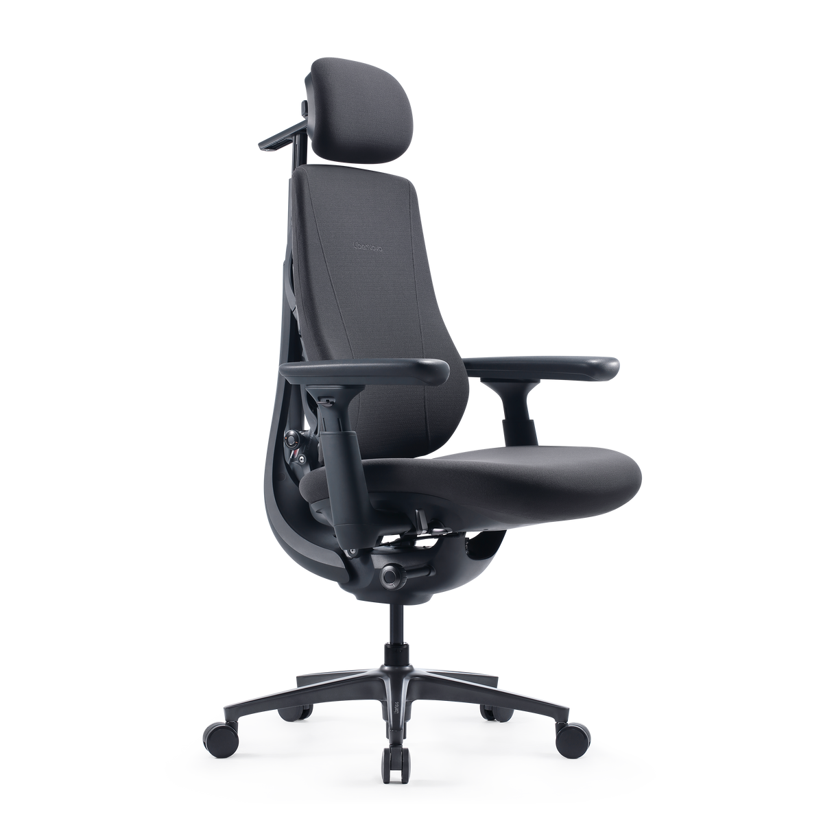 LiberNovo Maxis Dynamic Ergonomic Chair
