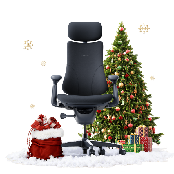 LiberNovo Omni Dynamic Ergonomic Chair