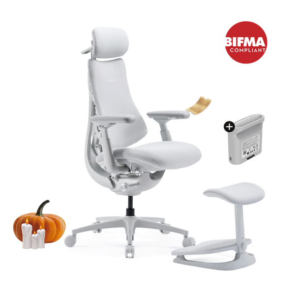 LiberNovo Omni Pro Dynamic Ergonomic Chair