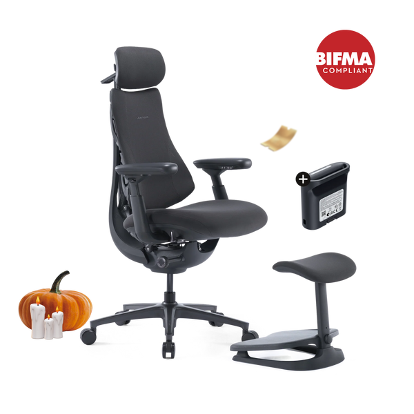 LiberNovo Omni Pro Dynamic Ergonomic Chair