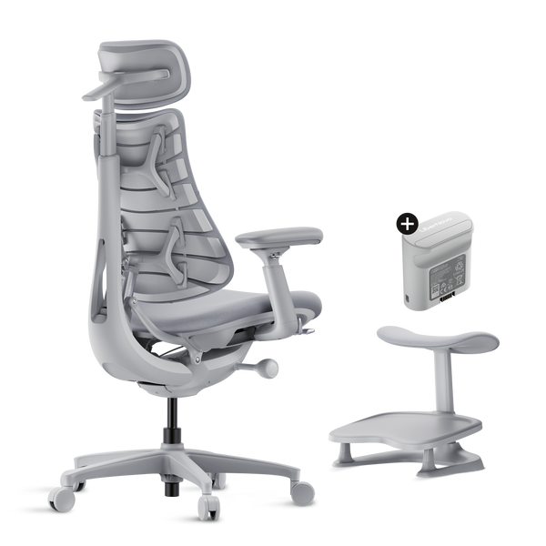 LiberNovo Omni Dynamic Ergonomic Chair
